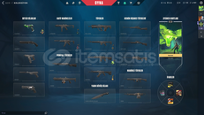 TR + Mail Onaysız + 1 BP Skin + Demir 2