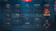 TR + Mail Onaysız + 2 BP Skin + Bronz 2