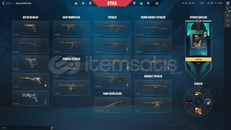 TR + Mail Onaysız + 3 Battle Pass Skin + Gold 1