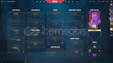 TR + Mail Onaysız + 3 BP Skin + Demir 3