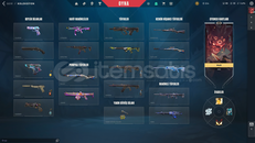 EU+Mail Onaysız+5 Bıçak+5 VANDAL+4 PHANTOM