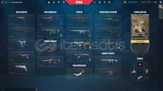 EU + Mail Onaysız + Asil Karambit + Asil Phantm