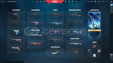 TR+Mail Onaysız+ Asil Karambit + Kuronami Vandal