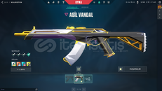 TR + Mail Onaysız + Asil Vandal + 868 VP