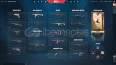 TR + Mail Onaysız + 4 Vandal + Bronz 3