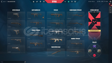 TR + Mail Onaysız + Yitik Vandal + İyon Phantom