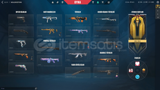 TR+Mail Onaysız+ Kuronami Vandal + İyon Spectre