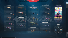 TR+Mail Onaysız+1 PHANTOM+1 BIÇAK+1 VANDAL