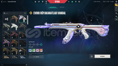 ✨TR MAİLLİ NEPTUN SIHIRPUNK EVORI BP 3 VANDAL