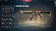 ✨Tr Mailli Champions 2025 Vandal Bronz 2