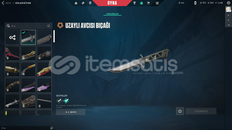 ✨Tr Mailli Köken Vandal Bayonet Silver