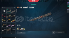 ✨Tr Mailli Asil Vandal Kelebek BP Full Hesap