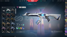 ✨Tr Mailli Yağmacı Phantom İon Vandal