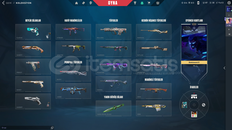 !! TR MAİNLEMELİK DOP DOLU HESAP !!