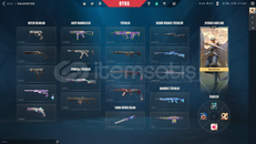 TR MAINLEMELIK SAGLAM HESAP!