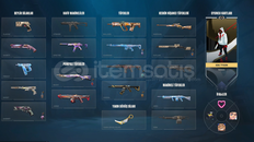 ⭐TR MAİNLİK DOLU DOLU PLAT 2 HESAP⭐