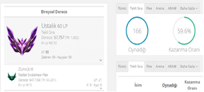 TR MASTER 60 LP HESAP UYGUNA