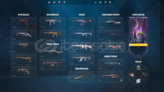 TR + Oto Teslim + Dopdolu Envanter Ömürlük