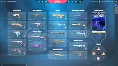 TR RGX Vandal Helezon Phantomlu Hesap Mailli