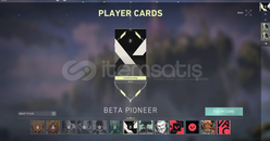 ⭐️ TR | SAHIBINDEN KAPALI BETA HESABI PLAT ELO