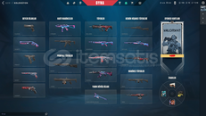 TR GÜZEL SKİNLİ DEMİR HESAP - SMURFLUK-DÜŞÜK MMR