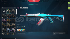 ⭐TR SUNUCU + ASİL VANDAL + GÜMÜŞ 1⭐