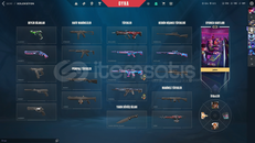 ⭐TR SUNUCU BRONZ 2 KAOS VANDALLI EFSO⭐