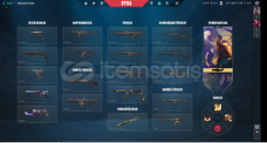 ⭐TR SUNUCU ⭐CHAMPİONS SET ⭐UCUZA MAİNLİK HESAP ⭐