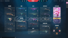 TR SUNUCU DOLU HESAP PAZARLIK PAYI VAR 488 LVL