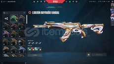 ⭐TR SUNUCU + EJDERİN BUYRUĞU +RANKED READY⭐