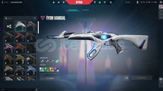 ⭐TR SUNUCU + İYON VANDAL + SİLVER 1⭐