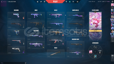 TR SUNUCU | MAİNLİK EKONOMİK | 375 LVL HESAP |