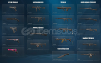 TR SUNUCU / ÖZEL ARCANE VANDAL NADİR HESAP