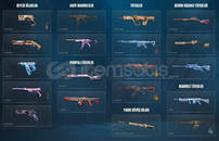 TR SUNUCU/RGX VANDAL,RGX PHANTOM UCUZ HESAP