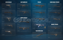 ★TR SUNUCU/Sırçiçeği vandal,ucuz mainlik hesap★