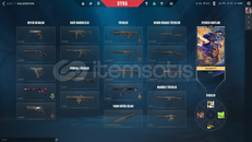 ⭐TR SUNUCU + ULU PENÇE VANDAL + UNRANKED⭐