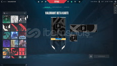 TR SUNUCU Valorant BETA kart OG hesap