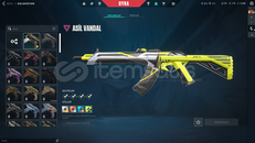 TR SUNUCULU ASİL VANDAL MAİLLİ HESAP