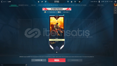 TR SUNUCULU BRONZ 2 HESAP