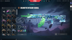 TR SUNUCULU DOLMİR VANDAL MAİLLİ HESAP TR SUNUCULU DOLMİR VANDAL MAİLLİ HESAP