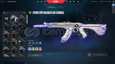 TR SUNUCULU EVORİ VANDAL MAİLLİ HESAP