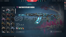 TR SUNUCULU GAİA VANDAL MAİLLİ HESAP