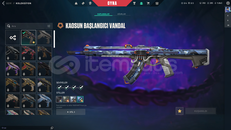 TR SUNUCULU KAOS VANDAL MAİLLİ HESAP