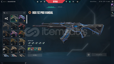 TR SUNUCULU RGX VANDAL MAİLLİ HESAP