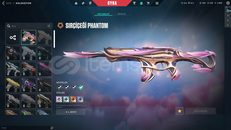 TR SUNUCULU SIR ÇİÇEĞİ PHANTOM MAİLLİ HESAP