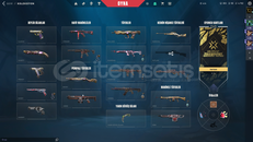 TR Sunucusu | 270+ Level | 121 Skin