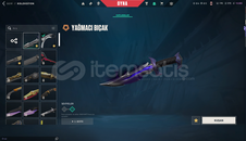 TR SUNUCUSU DOLU HESAP