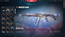 ✨TR SV // SIRÇİCEĞİ VANDAL + ASİL PHANTOM✨