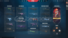 TR ULUPENÇE VANDAL + BATTLEPASS MAİLLİ HESAP 