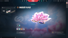 TR Yeni Setli Valorant Hesabı – Mailli